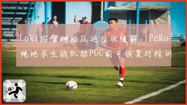 Loki右臂神经压迫症状缓解,PeRo绝地求生战队称PGC前可恢复对枪训练