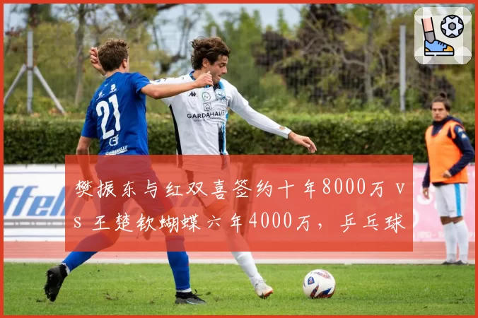 樊振东与红双喜签约十年8000万 vs 王楚钦蝴蝶六年4000万,乒乓球明星装备赞助年限与商业价值