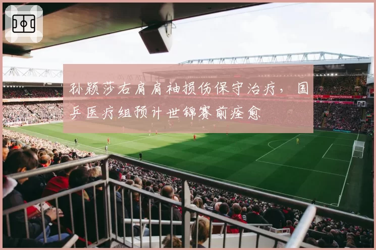 孙颖莎右肩肩袖损伤保守治疗，国乒医疗组预计世锦赛前痊愈