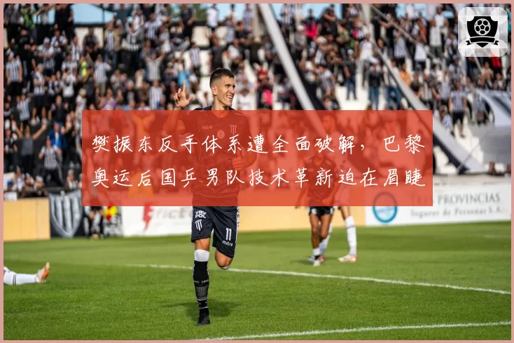 樊振东反手体系遭全面破解,巴黎奥运后国乒男队技术革新迫在眉睫。