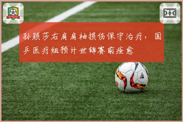 孙颖莎右肩肩袖损伤保守治疗，国乒医疗组预计世锦赛前痊愈