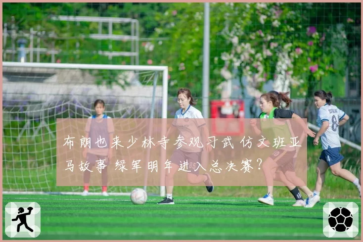 布朗也来少林寺参观习武 仿文班亚马故事 绿军明年进入总决赛？