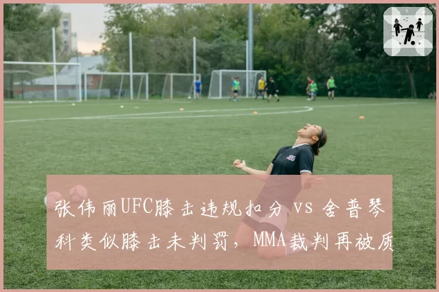 张伟丽UFC膝击违规扣分 vs 舍普琴科类似膝击未判罚,MMA裁判再被质疑