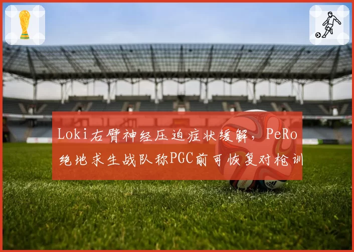 Loki右臂神经压迫症状缓解,PeRo绝地求生战队称PGC前可恢复对枪训练